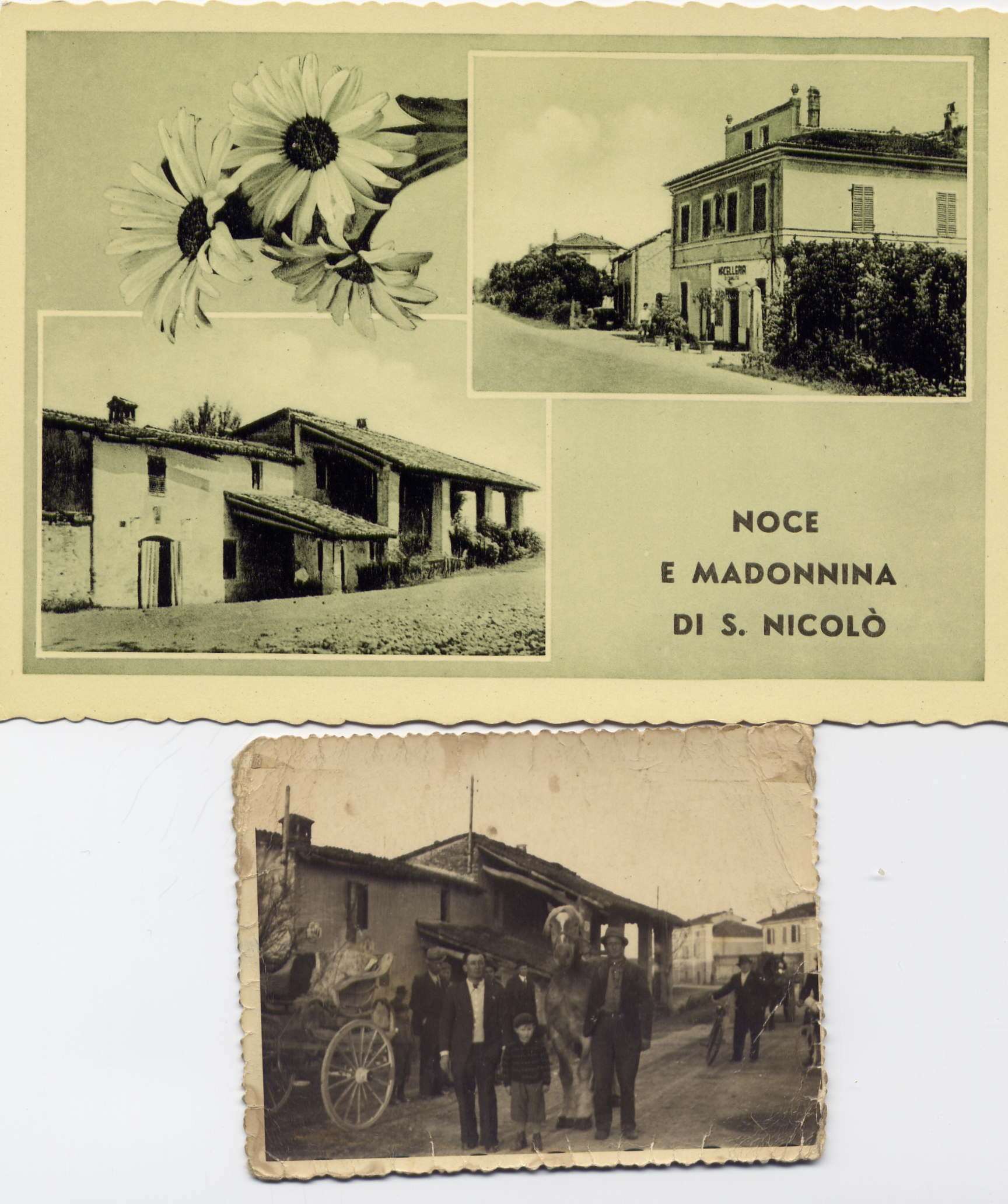 storia trattoria la Noce Piacenza